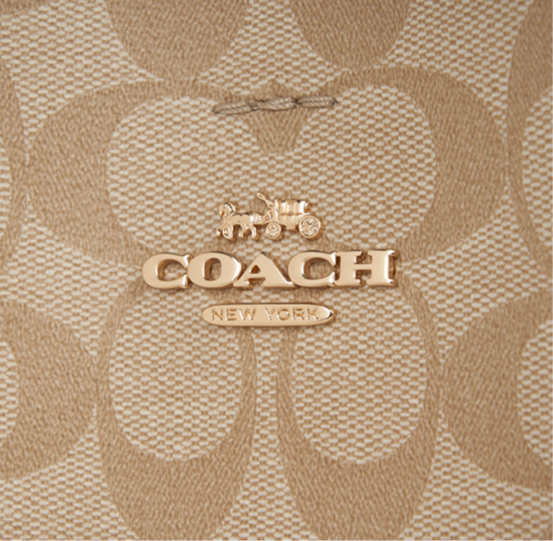 Coach Bucket Mollie 22 Fondo Rosa